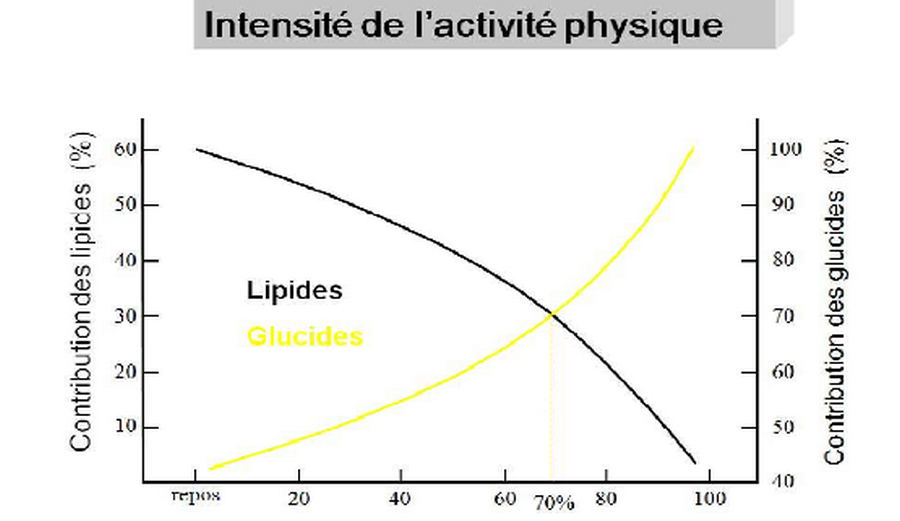 graphique